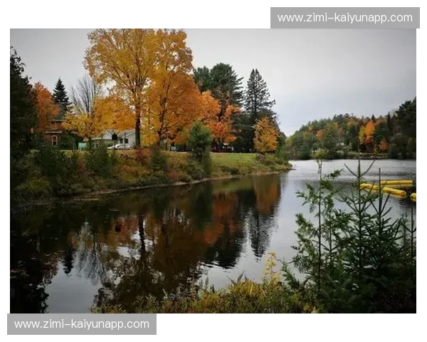 枫叶与海风的浪漫对决：蒙特利尔与温哥华，哪座城更懂你的心？